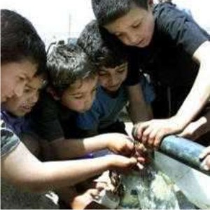 120-000-warga-gaza-kekurangan-air-bersih